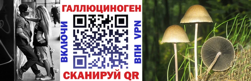 наркотики  Сергач  Псилоцибиновые грибы мицелий 